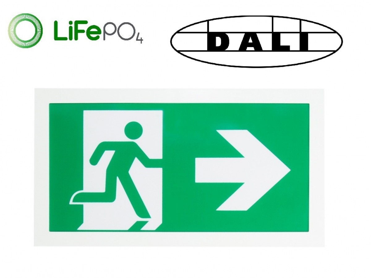 CE2S/3W DALI Exit Sign